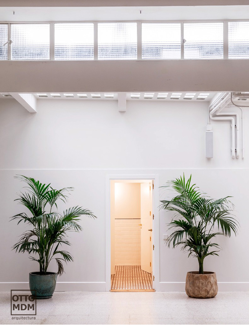Equipamiento arquitectura, Mr Fox Estudio - Otto Medem Arquitectura
